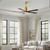 manufacturer_finish:Brushed Brass/Walnut Tone|light_output:Unspecified|voltage:110.00V