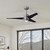 manufacturer_finish:Brushed Nickel/Matte Black
