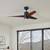 manufacturer_finish:Matte Black/Walnut Tone