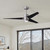 manufacturer_finish:Brushed Nickel/Matte Black