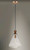Abbott One Light Pendant (10101CLWOAB)