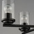Corona Five Light Chandelier (10205CLBK)