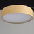 Prime LED Flush Mount (10222GC)