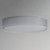 Prime LED Flush Mount (10227WO)