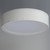 Prime LED Flush Mount (10230WL)