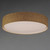 Prime LED Flush Mount (10237GC)