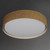Prime LED Flush Mount (10237GC)