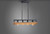 Black Forest Four Light Chandelier (10307BKASB)