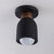 Pompeii One Light Flush Mount (10629LVBK)