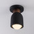 Pompeii One Light Flush Mount (10629LVBK)