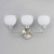 Coraline Three Light Bath Vanity (11273SWSN)