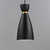 Carillon One Light Mini Pendant (11301BKSBR)