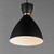 Carillon One Light Mini Pendant (11302BKSBR)