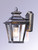 Knoxville One Light Outdoor Wall Lantern (1133CLBZ)