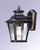 Knoxville One Light Outdoor Wall Lantern (1133CLBZ)