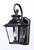 Knoxville Three Light Outdoor Wall Lantern (1135CLBZ)