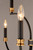Charlton Nine Light Chandelier (11377BKAB)