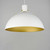 Dawn One Light Pendant (12048WTSBR)