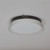 Duo LED Flush Mount (12284CLSWBK)