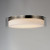 Duo LED Flush Mount (12284CLSWSN)
