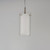 Duo LED Mini Pendant (12289CLSWSN)