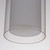 Duo LED Mini Pendant (12289CLSWSN)