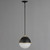 Duke One Light Pendant (12412SWBKWBR)