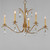 Eden Five Light Chandelier (12745CHGL)