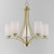 Deven Five Light Chandelier (20035SWSBR)