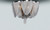 Chantilly LED Flush Mount (21460NKPN)