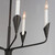 Calyx Five Light Chandelier (24345BK)