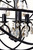 manufacturer_finish:Oil Rubbed Bronze