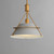 Lucas One Light Pendant (25221LFGNAB)