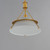 Lucas One Light Pendant (25221LFGNAB)