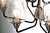 Goblet Nine Light Chandelier (26127CLBKSN)
