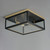 Neoclass Two Light Outdoor Flush Mount (30059CLBKGLD)