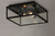Catalina Two Light Outdoor Ceiling Mount (30098CLDBZ)