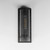 Foundry One Light Outdoor Wall Sconce (30193CDBK)