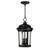 Maxim - 3028CDBZ - Three Light Outdoor Hanging Lantern - Dover DC - Bronze