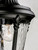 Sentry One Light Outdoor Pole/Post Lantern (3050WGBK)