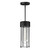 Maxim - 30587CDBK - One Light Outdoor Pendant - Millennial - Black