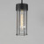 Millennial One Light Outdoor Pendant (30587CDBK)