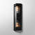 Triform Two Light Outdoor Wall Sconce (30762CRBKAB)