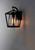 Artisan One Light Outdoor Wall Lantern (3174CLBK)