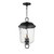 Maxim - 34213WGDBZ - Three Light Outdoor Pendant - Prescott - Dark Bronze