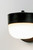 Michelle LED Outdoor Wall Sconce (51115FTBK)