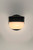 Michelle LED Outdoor Wall Sconce (51116FTBK)