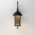 Dover LED LED Outdoor Wall Sconce (55023CDBZ)