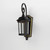 Dover LED LED Outdoor Wall Sconce (55024CDBZ)