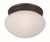 manufacturer_finish:Oil Rubbed Bronze|manufacturer_glass:Frosted|light_output:672.00lm